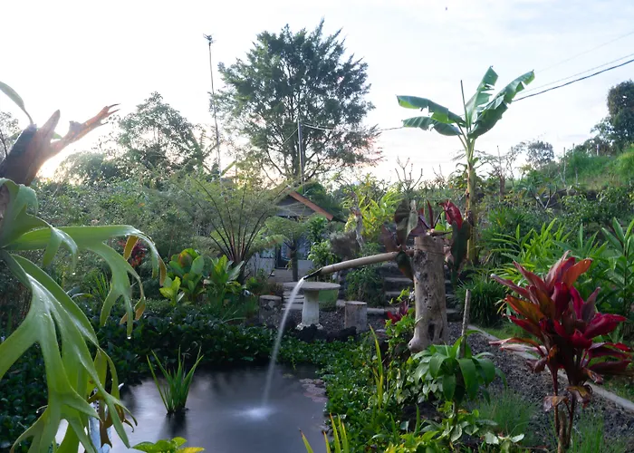 Hotel Mountain Peak Kintamani