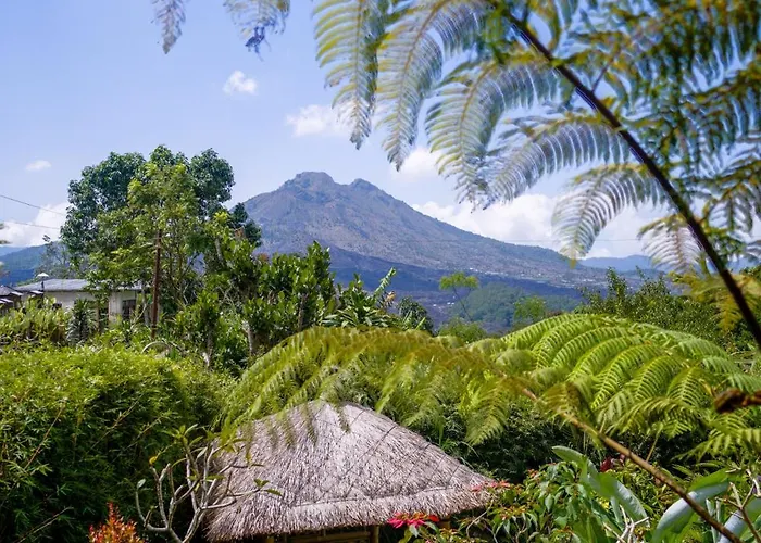 Mountain Peak 3*